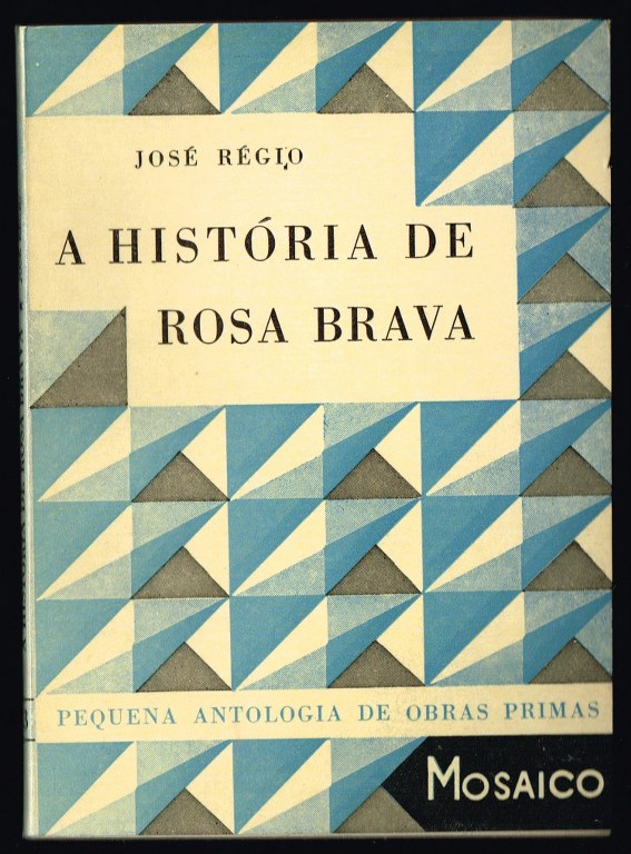 A HISTÓRIA DE ROSA BRAVA